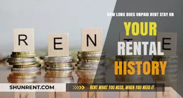 Unpaid Rent on Your Record: How Long Does It Last?
