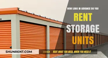 Planning Ahead: Optimal Timing for Renting Storage Units