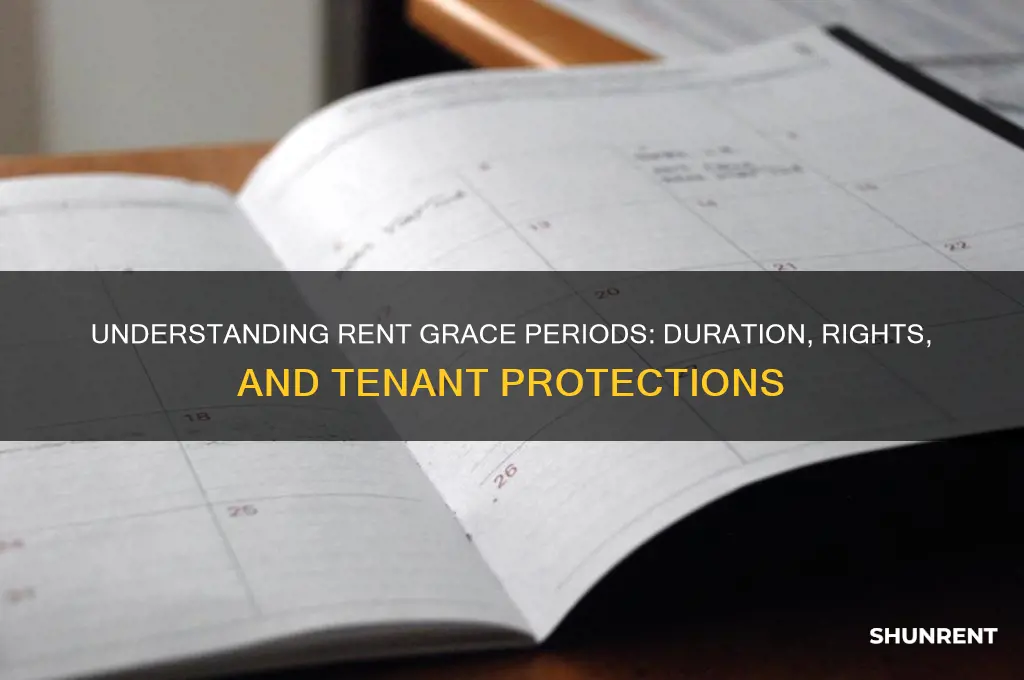 how long is a grace period for rent