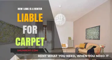 Understanding Renter Liability for Carpet Damage: Duration and Responsibilities