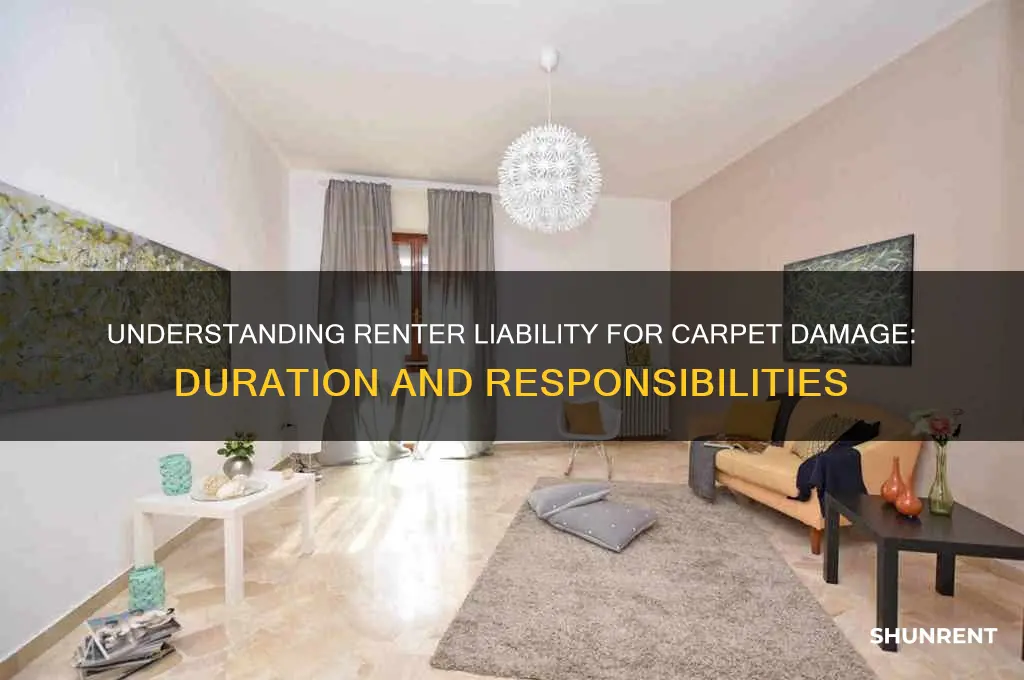 how long is a renter liable for carpet