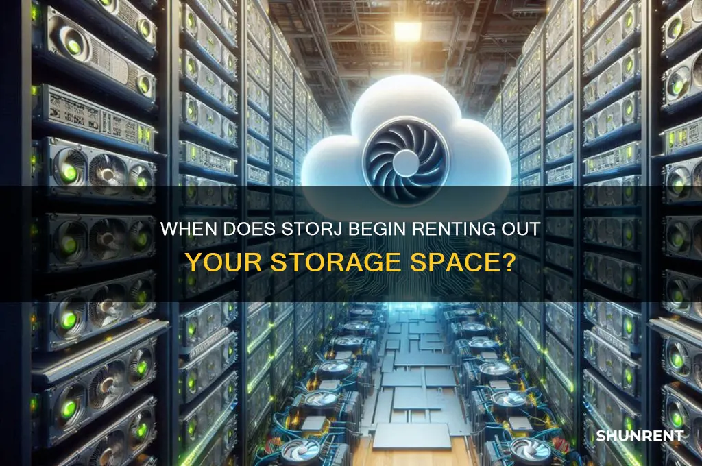 how long it take before storj start rent out