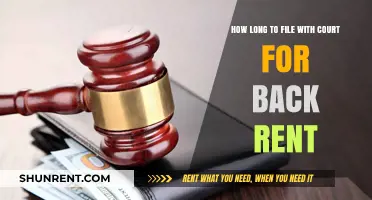 Filing for Back Rent: Understanding Court Timelines and Deadlines