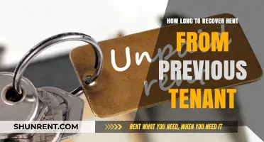 Recovering Unpaid Rent: A Guide to Reclaiming Funds from Ex-Tenants
