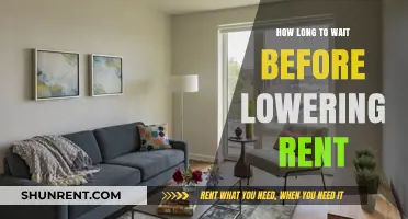 Strategic Timing: When to Lower Rent for Maximum Occupancy and Profit