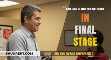 Rent Relief Final Stage: Understanding the Wait Time for Assistance
