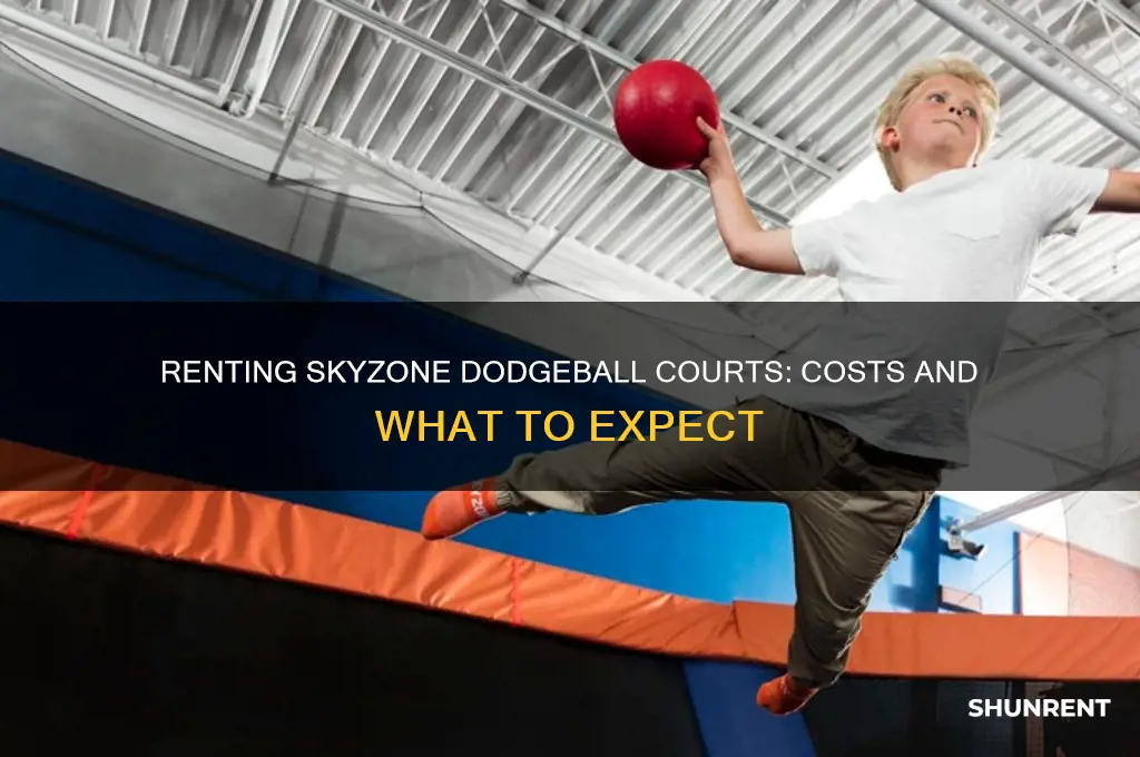 how m uich to rent out skyzone doudge ballk