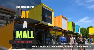How Much Does Rent Cost for a Mall Store?