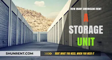 How Many Americans Rent Storage Units? Surprising Statistics Revealed