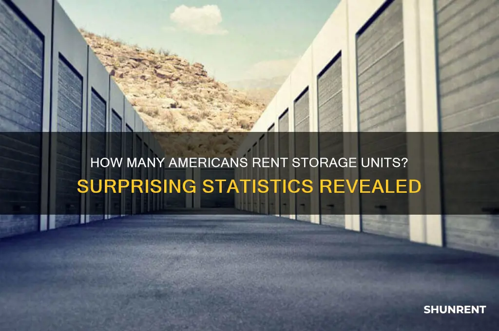 how many americans rent a storage unit