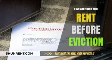 Understanding Back Rent Limits: When Does Eviction Become a Reality?