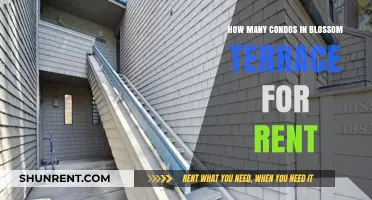 Condos for Rent in Blossom Terrace: Availability and Options