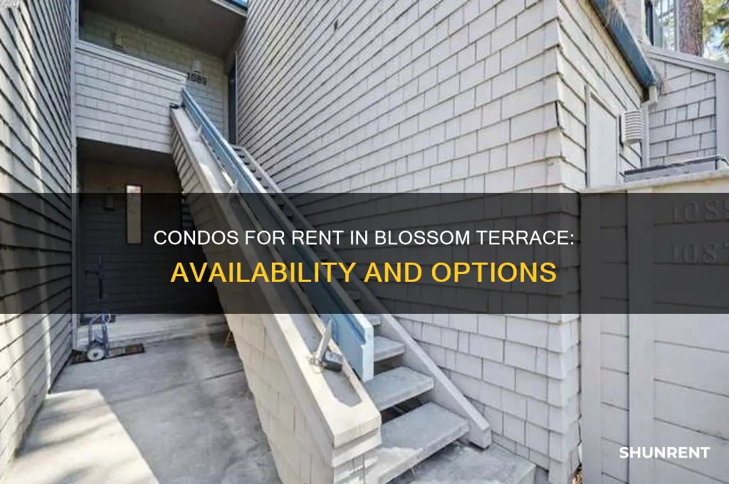 how many condos in blossom terrace for rent