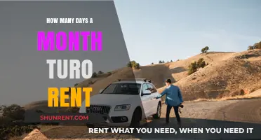 Maximizing Turo Rental Income: Understanding Monthly Availability Days