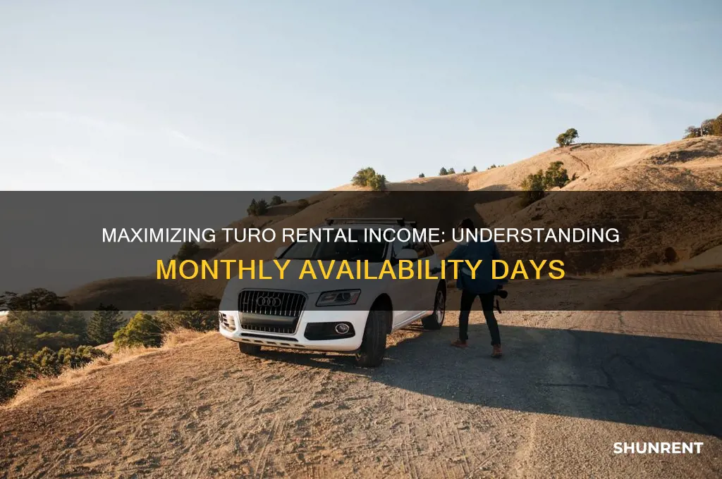 how many days a month turo rent