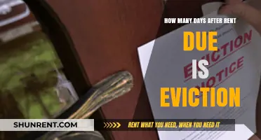 Understanding Eviction Timelines: When Late Rent Leads to Legal Action