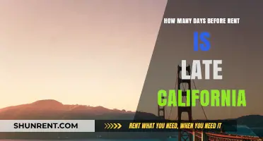 California Rent Late Policy: Understanding Grace Periods and Deadlines