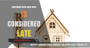 When Is Rent Late? Understanding Grace Periods and Late Fees