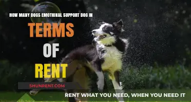 Emotional Support Dogs: Rent Rules and Rights for Pet Owners
