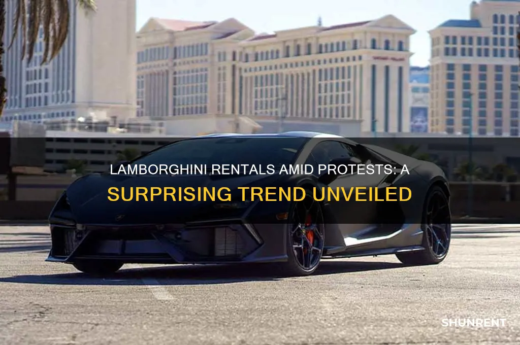 how many lamborghinis are rented and protests
