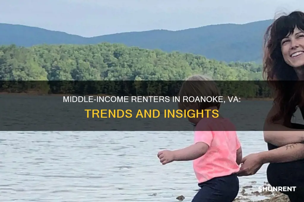 how many middle income rent out in roanoke va