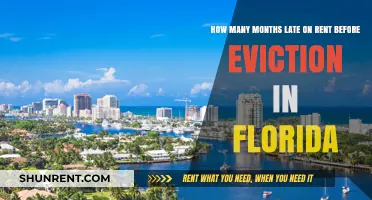 Late Rent in Florida: Understanding Eviction Timelines and Tenant Rights
