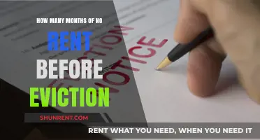 Understanding Eviction Timelines: How Long Can Rent Go Unpaid?