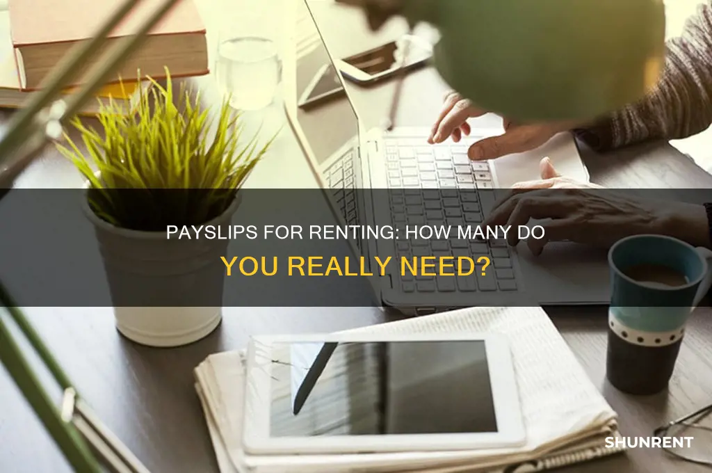 how many payslips do i need to rent