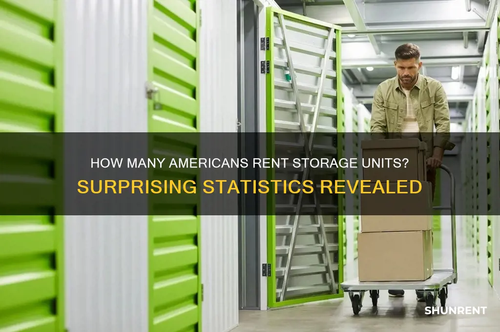how many people in the us rent storage units