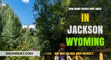 Jackson Wyoming Bike Rentals: Exploring Popular Cycling Trends in the Area