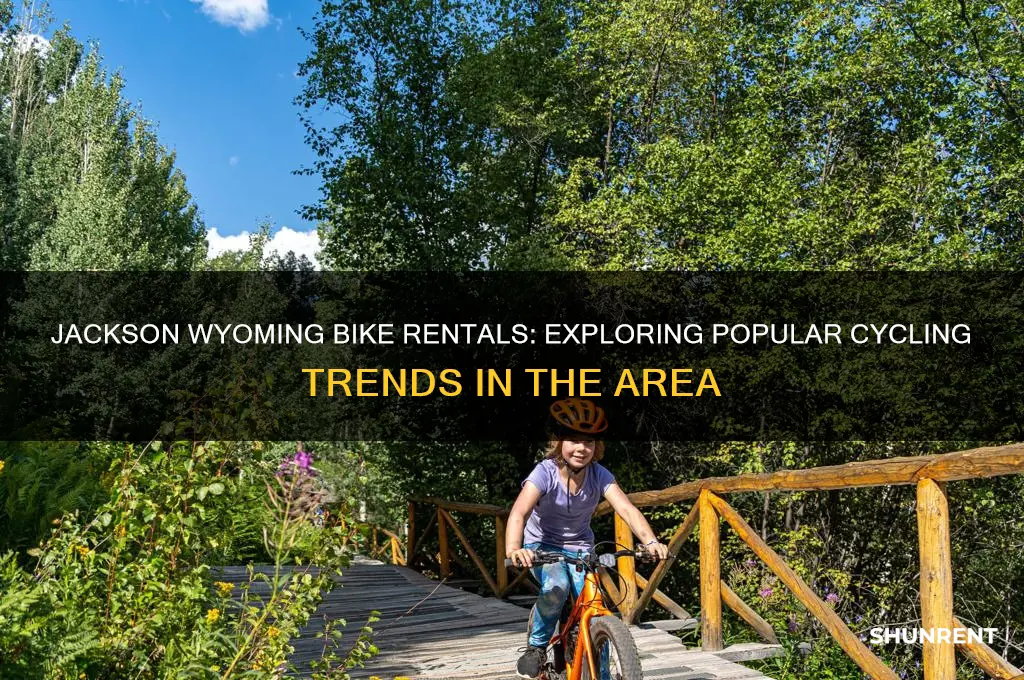 how many people rent bikes in jackson wyoming