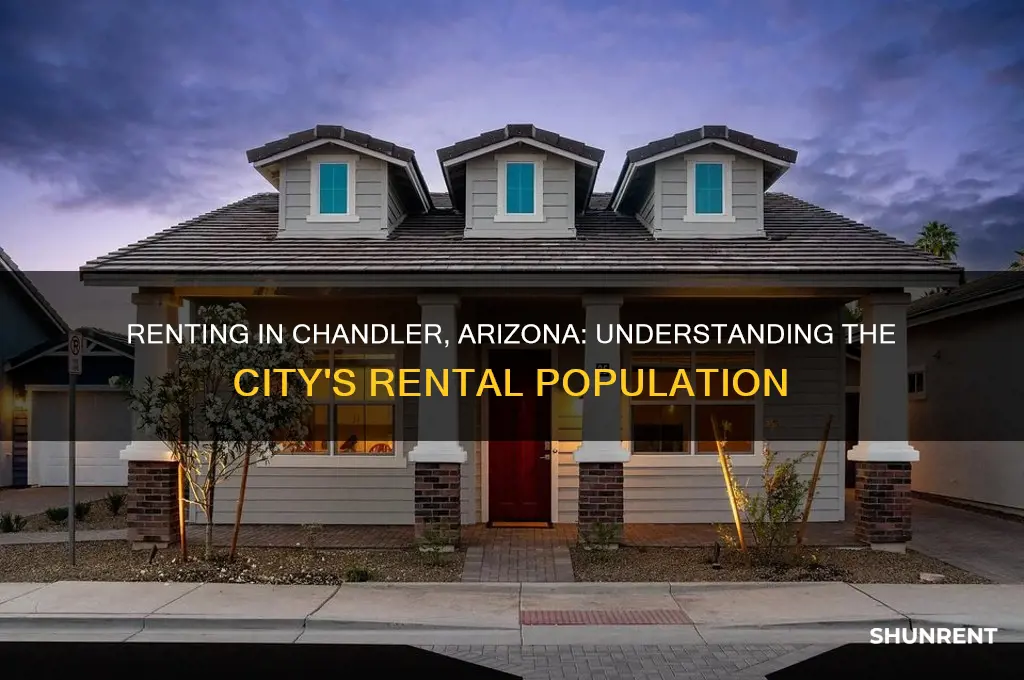 how many people rent in chandler arizona