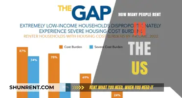 Renting in America: Understanding the Growing Number of US Renters