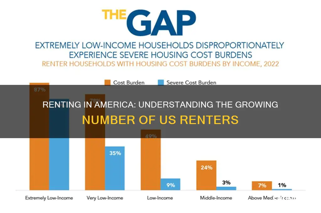 how many people rent in the us