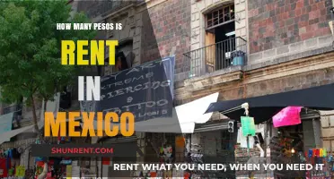 Understanding Mexico's Rental Costs: How Many Pesos for Rent?