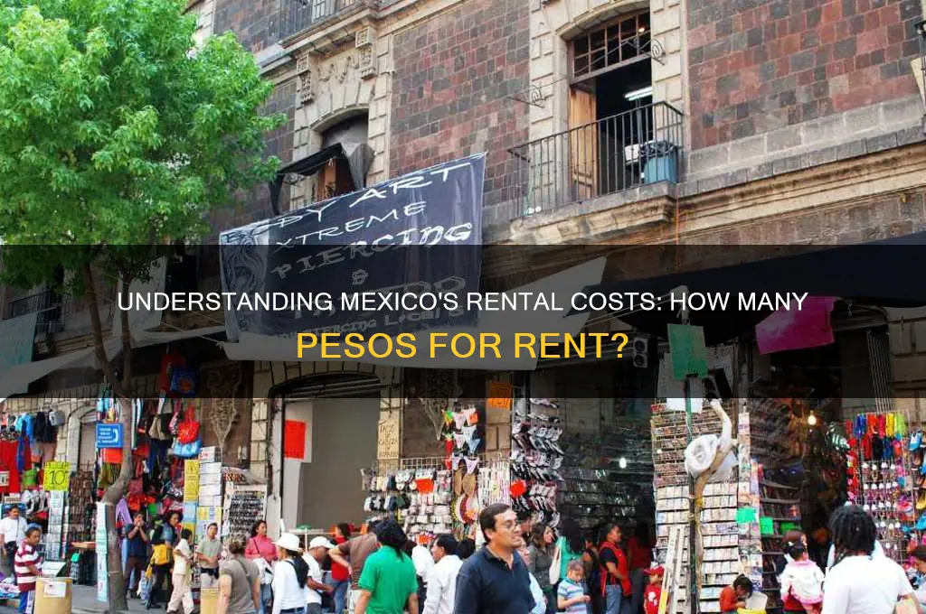 how many pesos is rent in mexico
