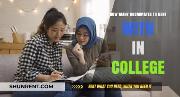 Finding the Perfect Roommate Balance for Your College Rental Experience