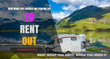 Maximizing RV Rental Income: Ideal Number for Solo Owners
