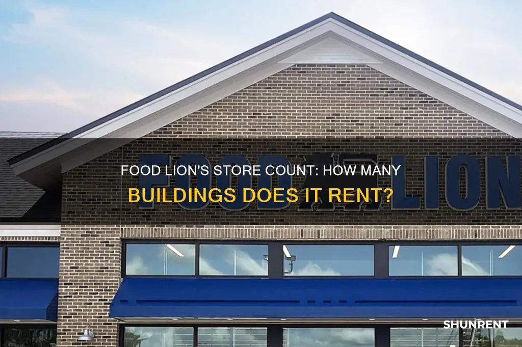 how many store buildings does food lion rent