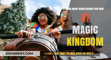 Wheelchair Rentals at Magic Kingdom: Availability and Accessibility Guide