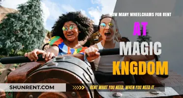 Wheelchair Rentals at Magic Kingdom: Availability and Accessibility Guide