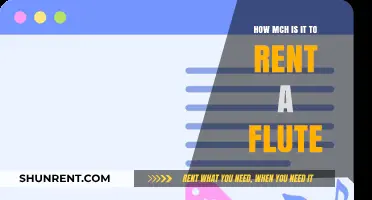 Flute Rental Costs: Affordable Options for Musicians on a Budget