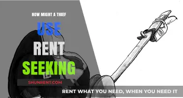 Rent Seeking and Theft: How Criminals Exploit Loopholes for Profit