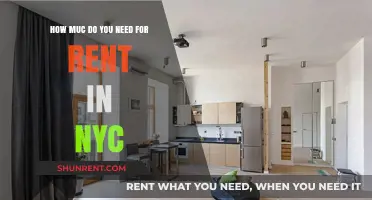 NYC Rent Reality: How Much Do You Really Need?
