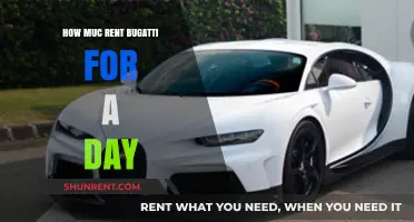 Renting a Bugatti Daily: Cost, Experience, and What to Expect