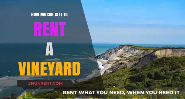 Vineyard Rental Costs: What to Expect When Leasing a Vineyard