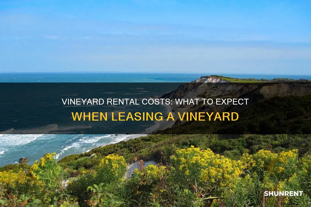how mucxh is it to rent a vineyard