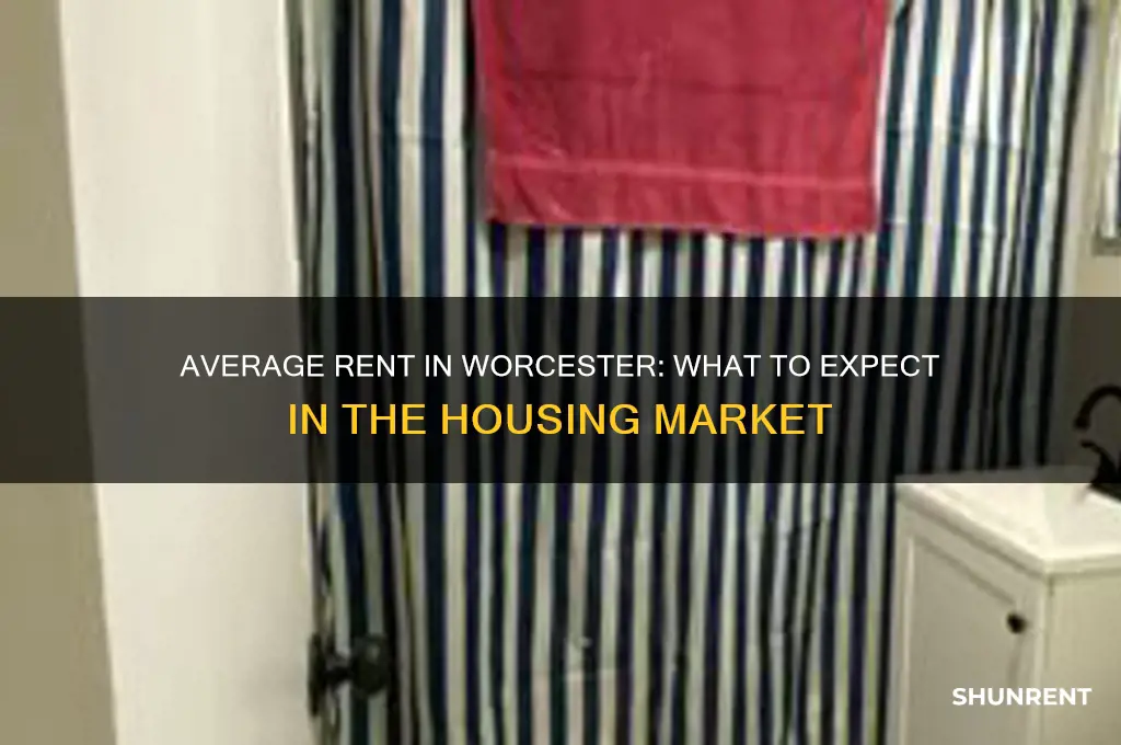 how muxh is the average rent in worchester