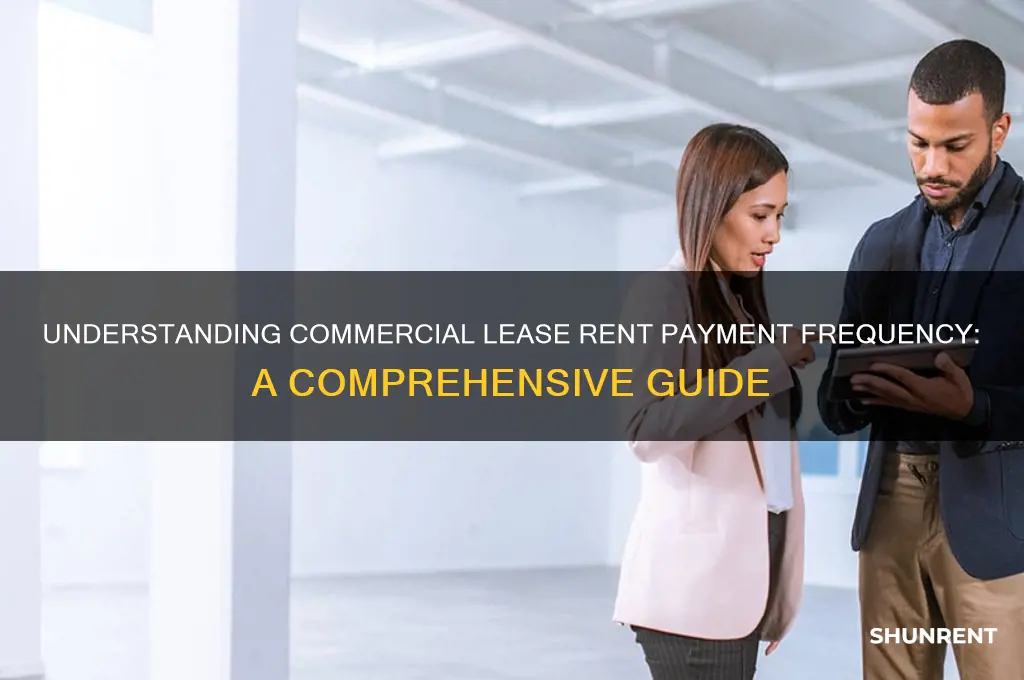 how often are rent payments on a commecial lease