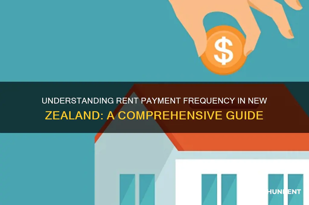 how often is rent paid in new zealand